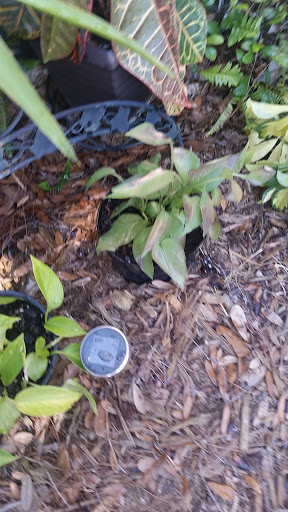 Golf Club «Marriott Golf Academy», reviews and photos, 12001 Ave Verde, Orlando, FL 32821, USA