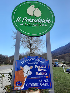 Azienda Agricola Il Presidente Località S. Vito, 84020 Laviano SA, Italia