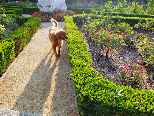 Wellness Center «California Health & Longevity Institute», reviews and photos, 2 Dole Dr, Westlake Village, CA 91362, USA