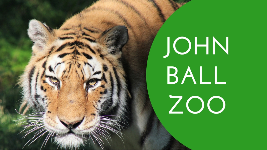 John Ball Zoo