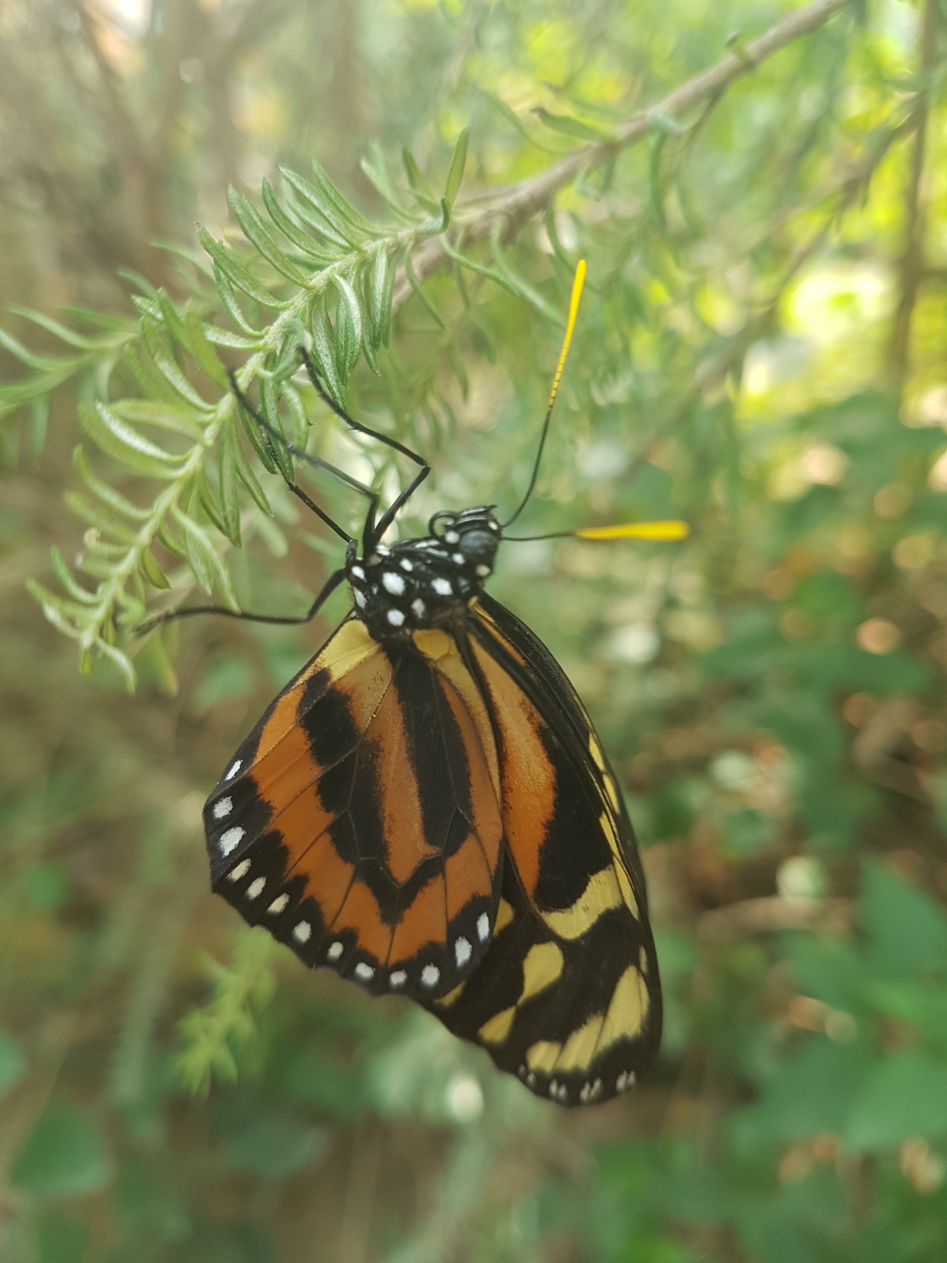 Photo n° 4 de l'avis de Ophélie.a fait le 10/08/2019 à 11:27
