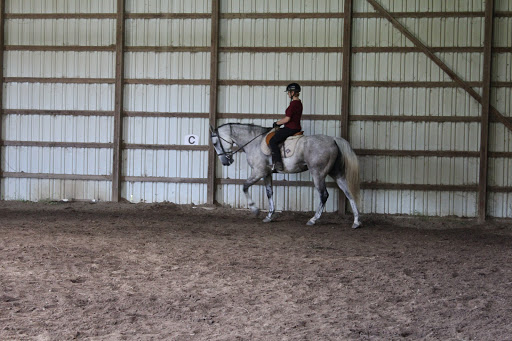Dressage lessons Indianapolis
