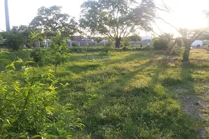 Festival Beach Food Forest image