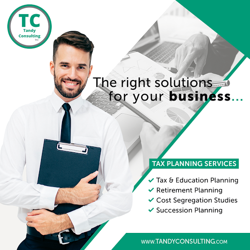 Tandy Consulting Inc image