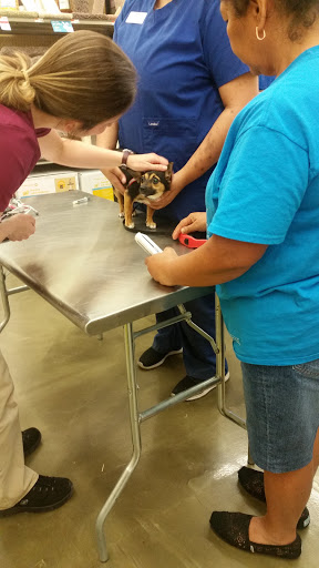 Pet Supply Store «Pet Supplies Plus», reviews and photos, 9 Waukegan Rd, Deerfield, IL 60015, USA