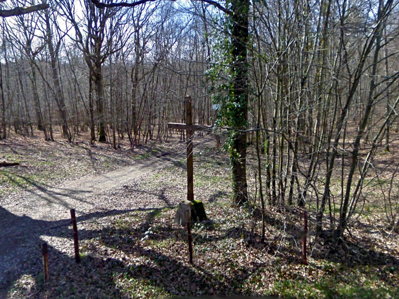 Photo n° 2 de l'avis de B.D. fait le 02/03/2024 à 07:19