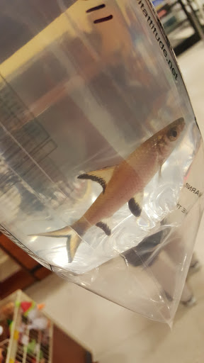 Pet Supply Store «PetSmart», reviews and photos, 1515 US-22, Watchung, NJ 07069, USA