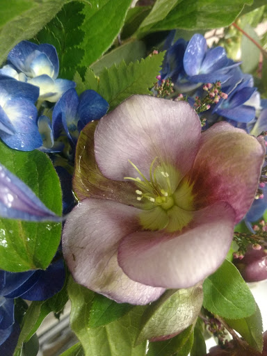 Florist «Chesterland Floral», reviews and photos, 12650 W Geauga Plaza, Chesterland, OH 44026, USA