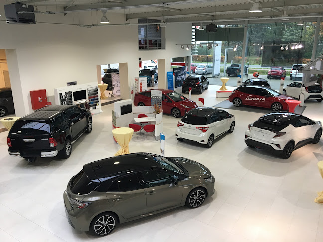Beoordelingen van Toyota Garage Wouters Begijnendijk in Geel - Autoverhuur