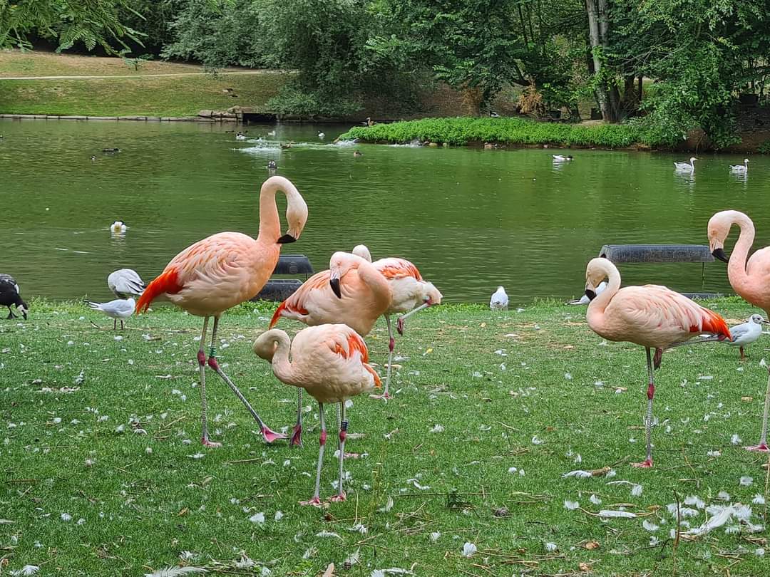 Photo n° 14 de l'avis de Maïté.e fait le 03/08/2022 à 19:24