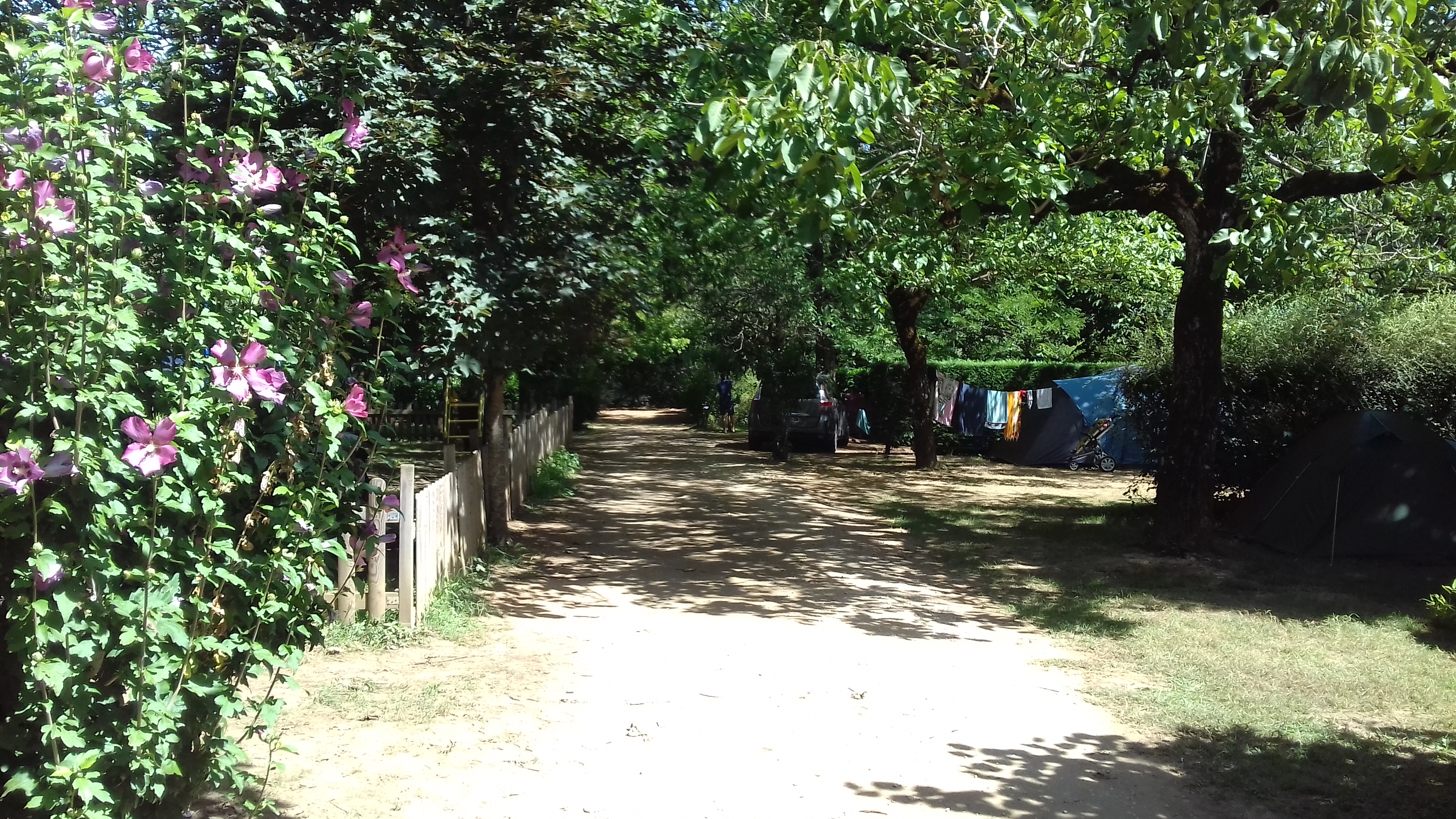 Photo n° 50 de l'avis de Grany.c fait le 16/08/2019 à 10:54