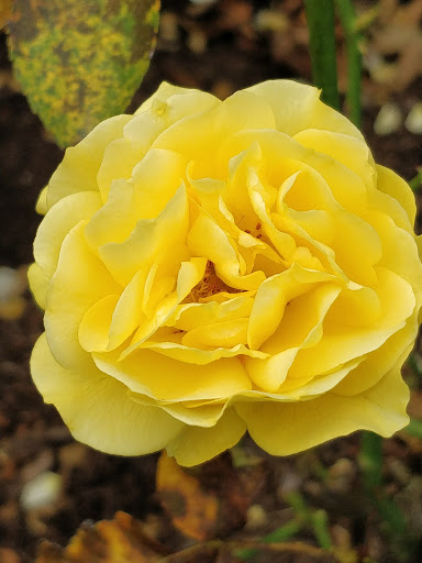 Park «Brookdale Park», reviews and photos, 473 Watchung Ave, Bloomfield, NJ 07003, USA