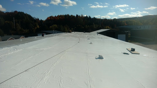 Shingle Roofing Services in Harbor Springs, Michigan