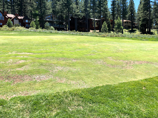 Golf Club «Northstar Golf Course», reviews and photos, 168 Basque Dr, Truckee, CA 96161, USA