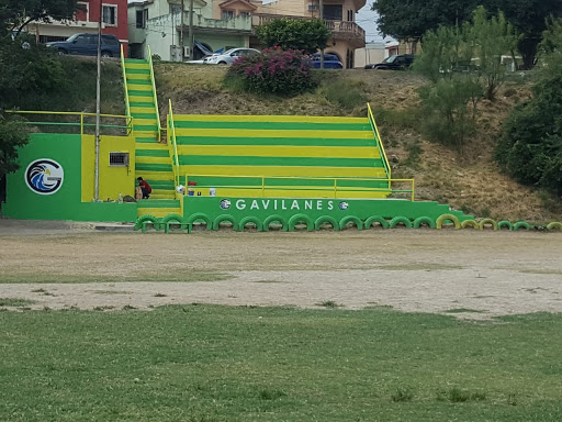 Club de Fútbol Gavilanes Guadalupe N.L.