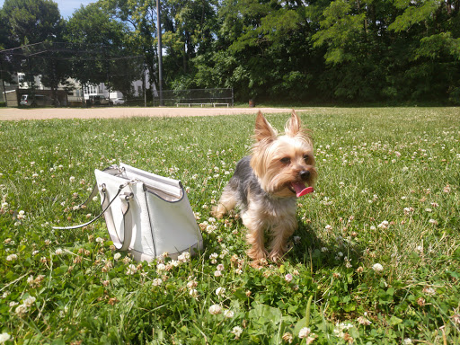 Park «ROGERS PARK», reviews and photos, 30 Rogers Park Ave, Boston, MA 02135, USA