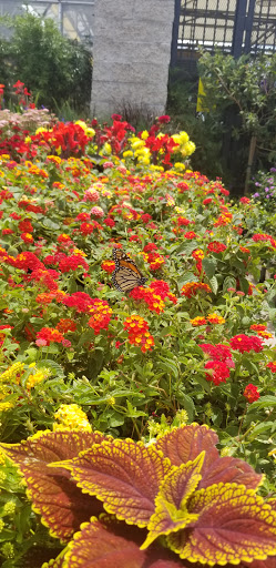 Home Improvement Store «The Home Depot», reviews and photos, 3500 W MacArthur Blvd, Santa Ana, CA 92704, USA