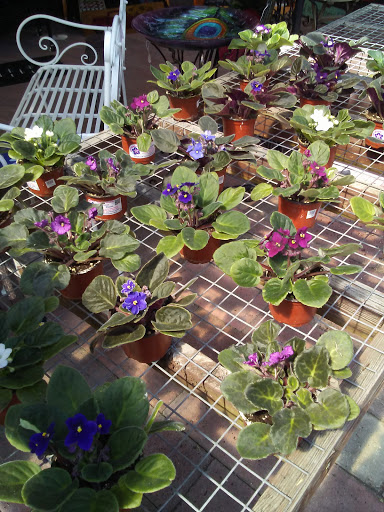 Garden Center «Trail Gardens», reviews and photos, 154 Gordon Nagle Trail, Pottsville, PA 17901, USA