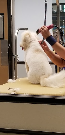 Pet Supply Store «PetSmart», reviews and photos, 5200 W Main St, Kalamazoo, MI 49009, USA