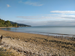 Photo de Tapu Beach situé dans une zone naturelle