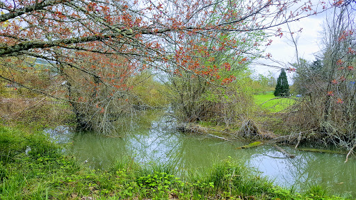 Science Museum «Science Factory», reviews and photos, 2300 Leo Harris Pkwy, Eugene, OR 97401, USA