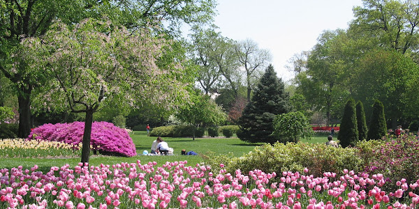 Sherwood Gardens