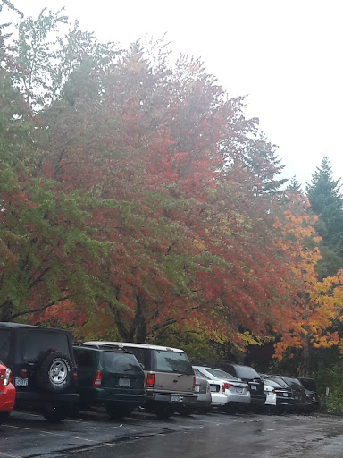 Park «Orchard Park», reviews and photos, 20900 NW Amberwood Dr, Hillsboro, OR 97124, USA