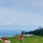 Photo n°4 de l'avis de Seat.b fait le 03/09/2023 à 16:32 sur le  Möslarn Alm à Aschau im Chiemgau