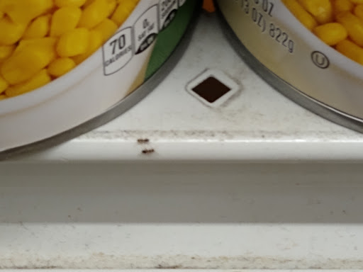 Grocery Store «Food Lion», reviews and photos, 5209 Plaza Dr, Hopewell, VA 23860, USA