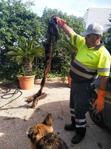 Neta Palma en Palma, Baleares