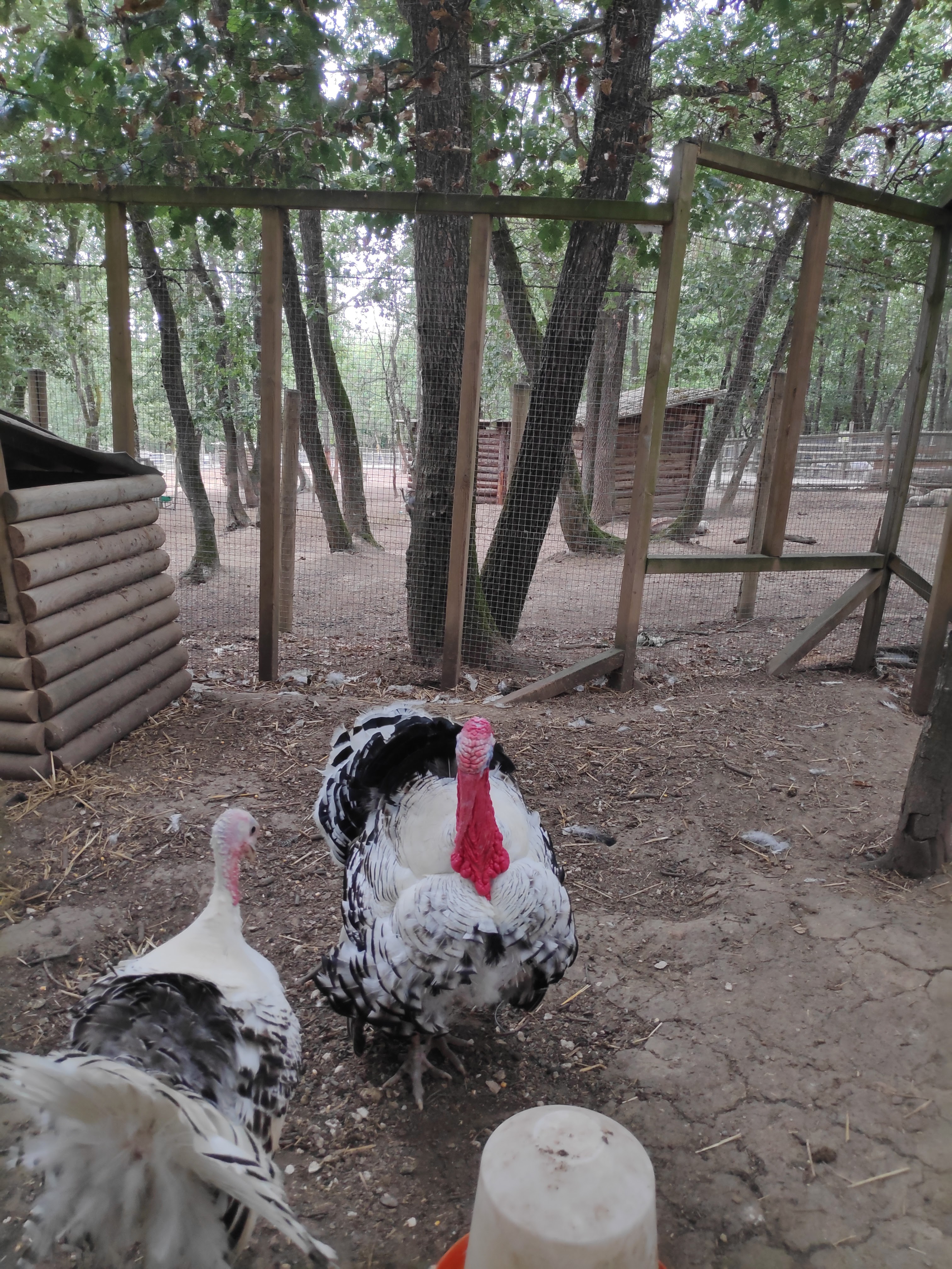 Photo n° 9 de l'avis de jennifer.a fait le 20/07/2019 à 20:52
