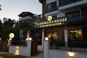 Flamingos House image