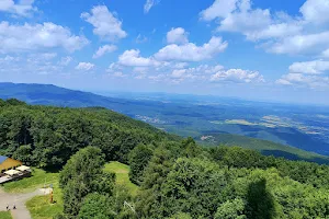 Mátrai Landscape Protection Area image