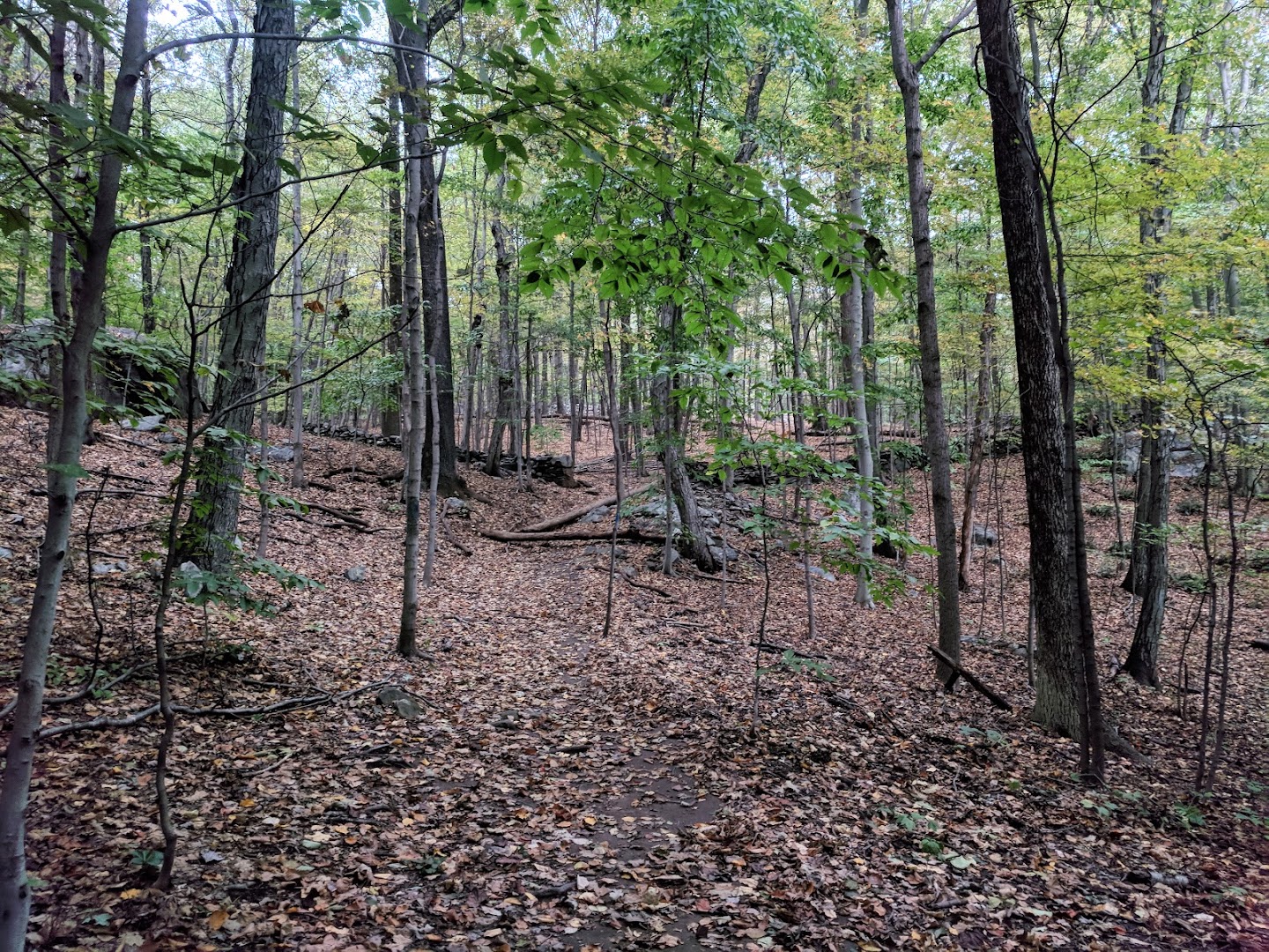 Hardscrabble Wilderness Area