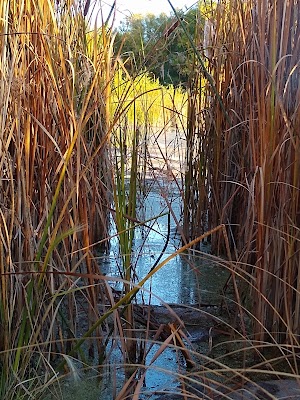 Golden Ponds Park - photo 58