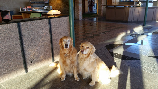 Appliance Store «Appliance Gallery», reviews and photos, 4550 W Wisconsin Ave, Milwaukee, WI 53208, USA