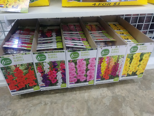 Dollar Store «Dollar Tree», reviews and photos, 17418 Northwest Fwy, Jersey Village, TX 77040, USA