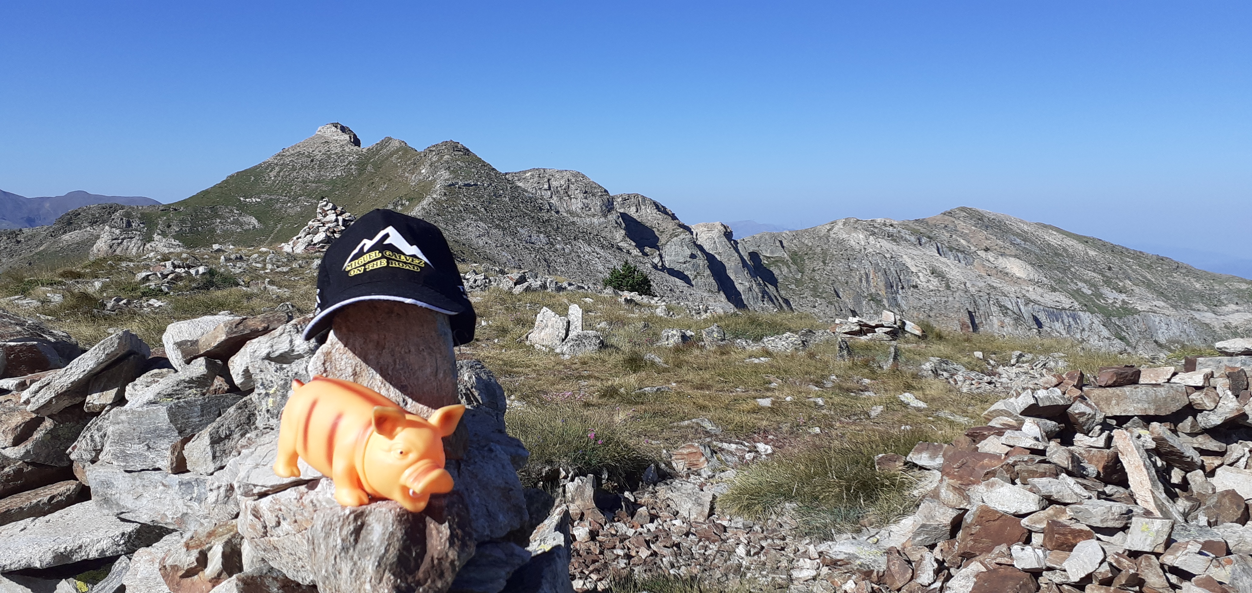 Photo n° 14 de l'avis de Miguel.a fait le 30/07/2023 à 06:23