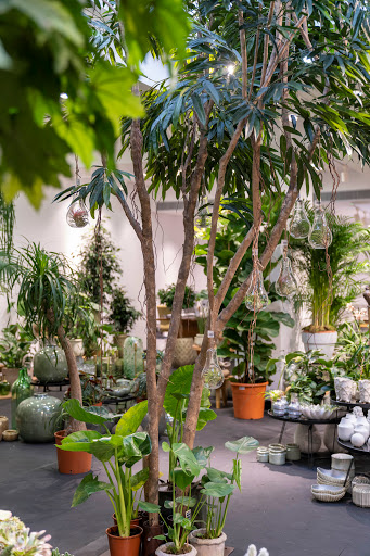 Columelas - Paisajismo y jardines - Floristería - Espacio para eventos en Madrid