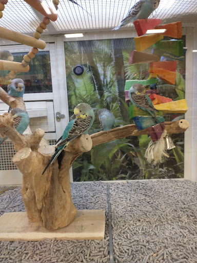 Pet Supply Store «PetSmart», reviews and photos, 9960 N 91st Ave, Peoria, AZ 85345, USA