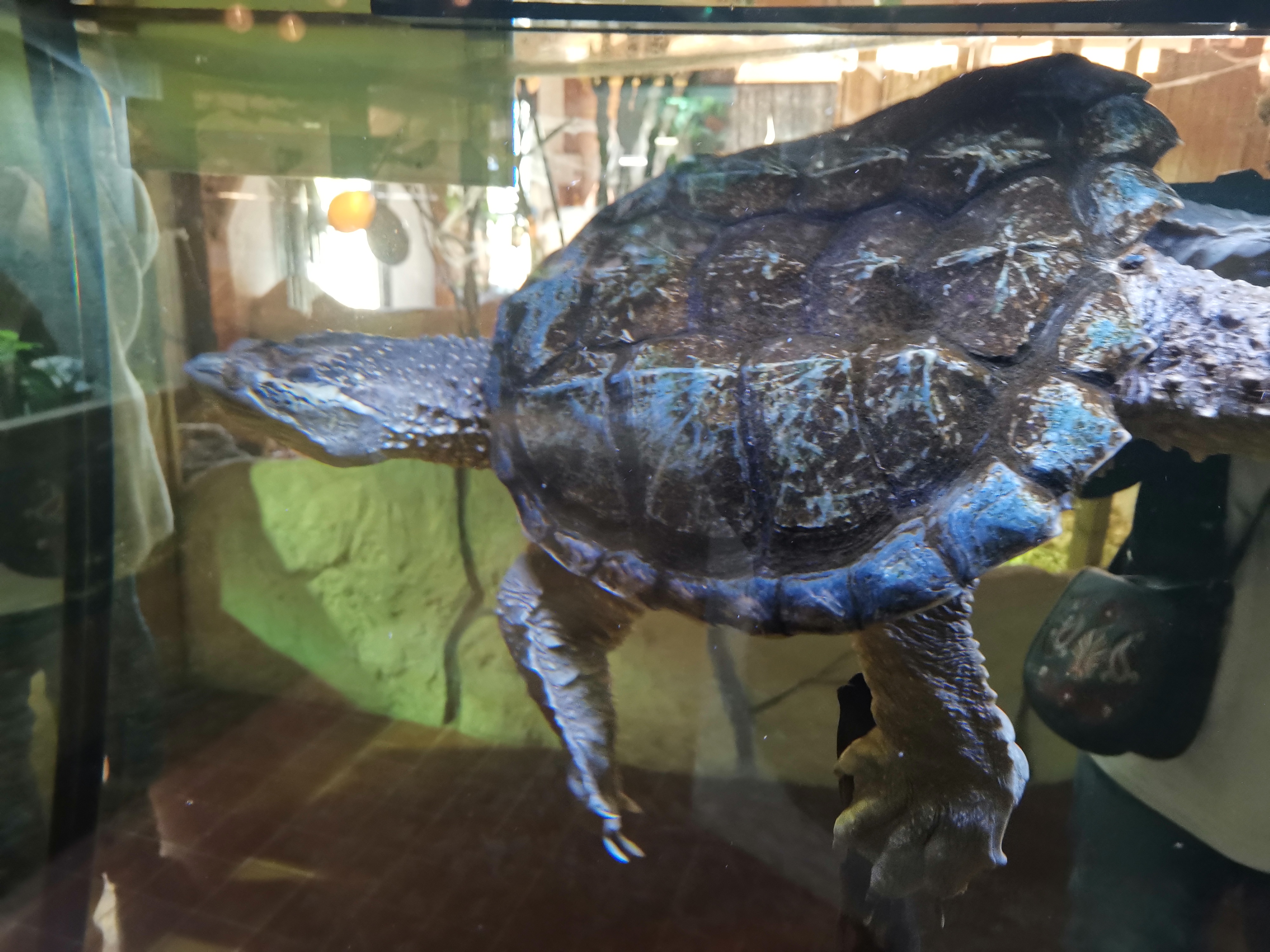 Photo n° 9 de l'avis de Jerome.a fait le 23/10/2021 à 18:04