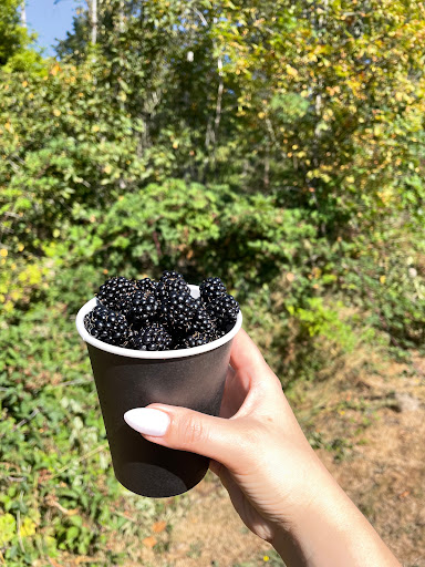 Park «Lake Geneva Park», reviews and photos, 34429 46th Ave S, Auburn, WA 98001, USA