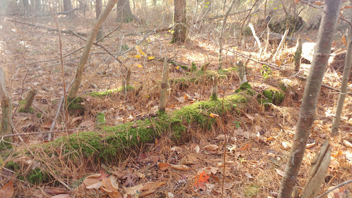 Park «Oliver Mill Park», reviews and photos, Nemasket St, Middleborough, MA 02346, USA