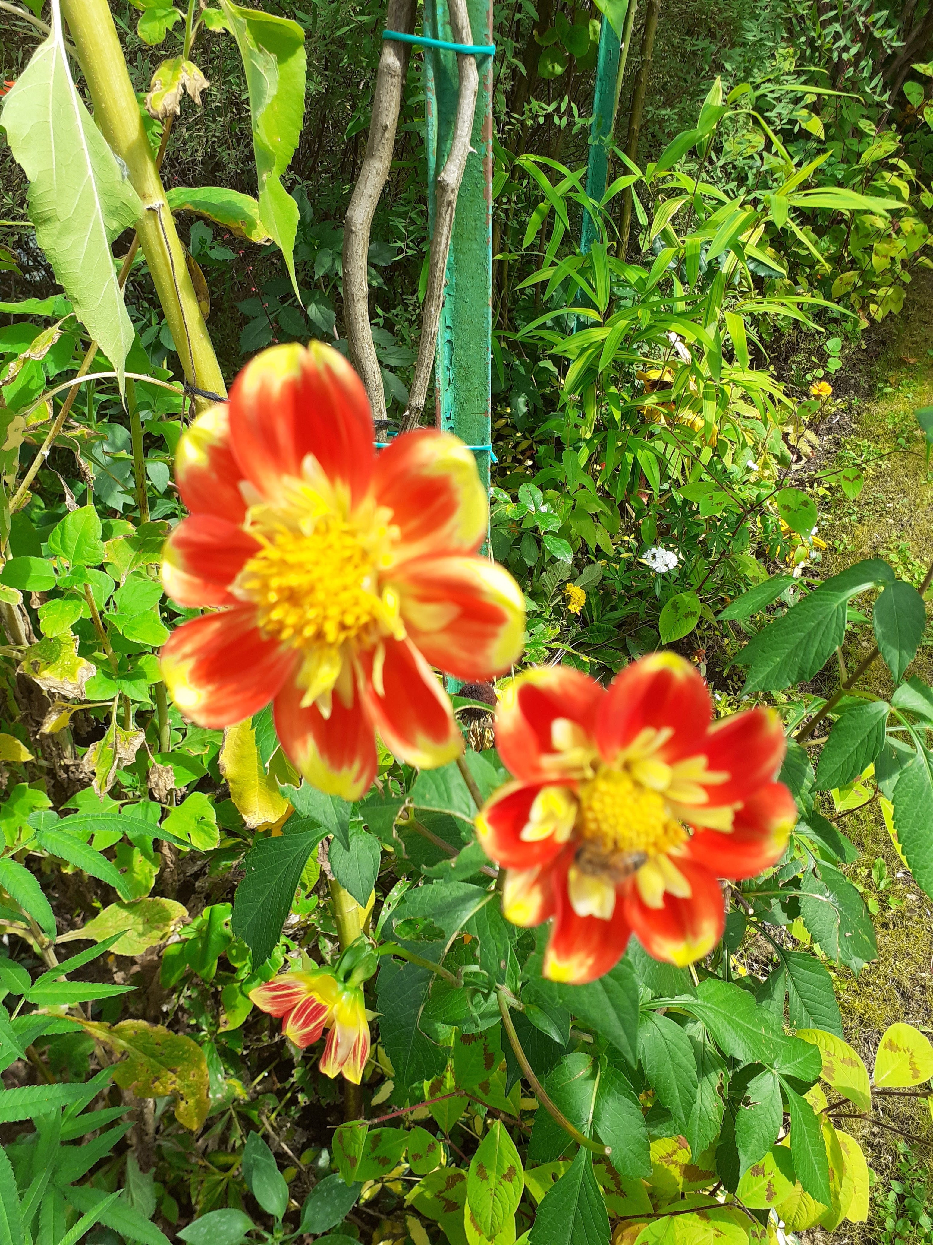 Photo n° 3 de l'avis de Katia.e fait le 20/08/2023 à 15:45