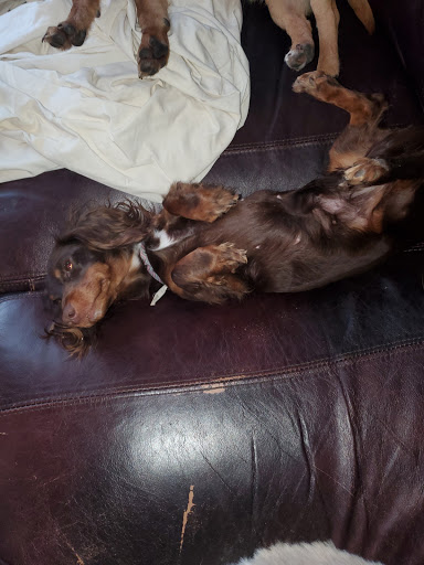 Lake City Veterinary Clinic image