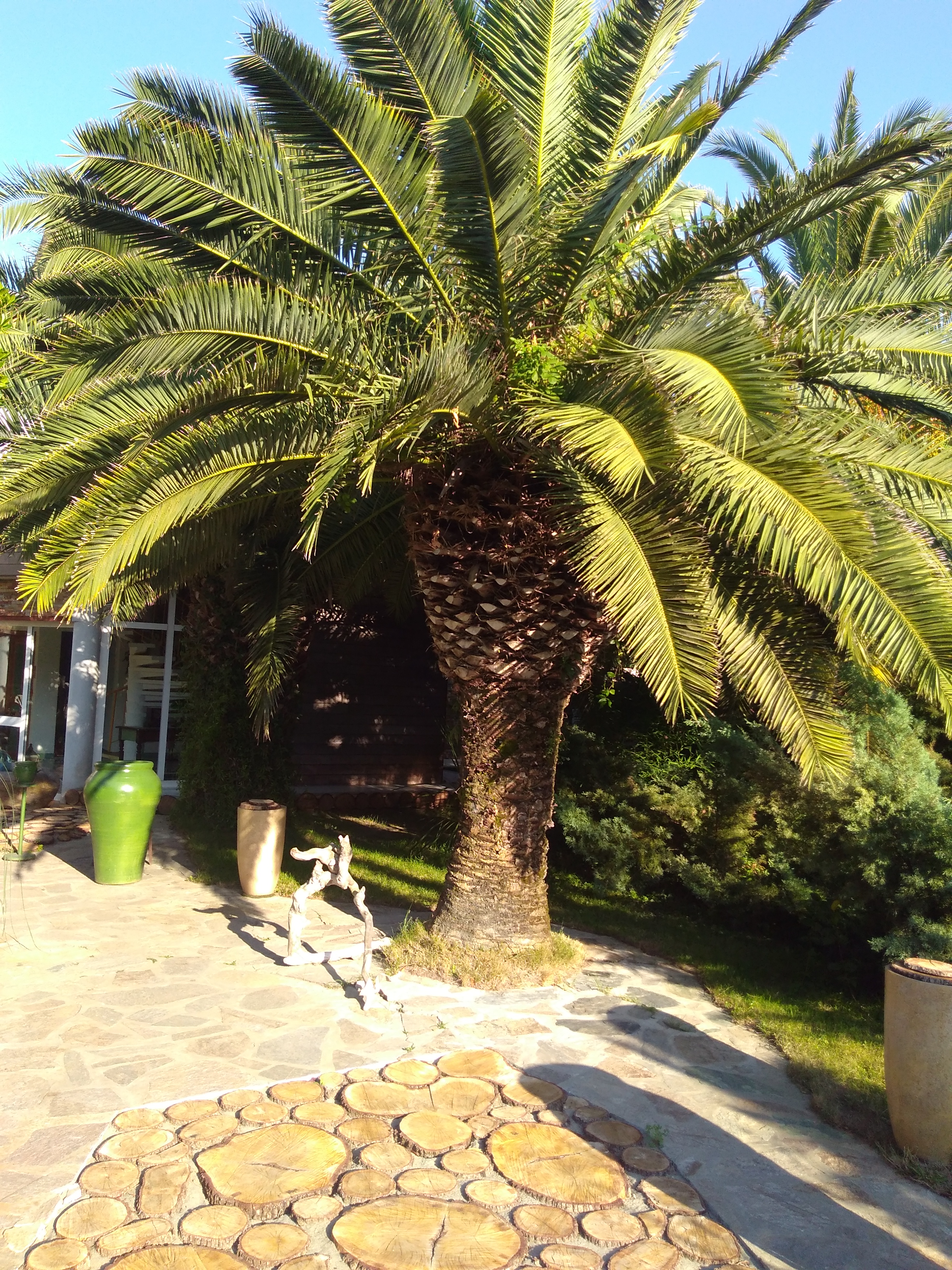 Photo n° 2 de l'avis de Nicole.l fait le 09/07/2018 à 04:02