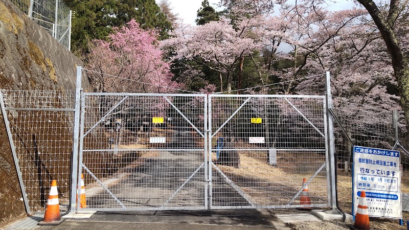 桜森林公園