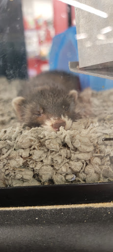 Pet Supply Store «Petco Animal Supplies», reviews and photos, 2520 E 3rd St, Bloomington, IN 47401, USA