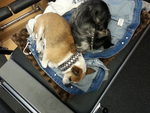 Gym «Seattle Fitness Inc», reviews and photos, 83 S King St, Seattle, WA 98104, USA