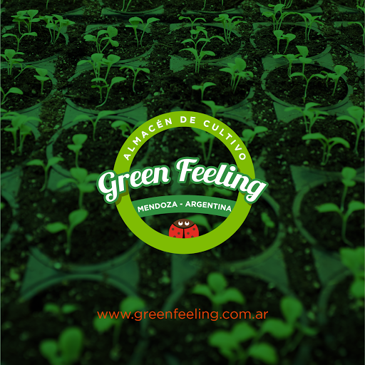 Green Feeling